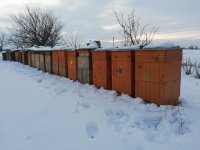 Včelnica v zime.jpg